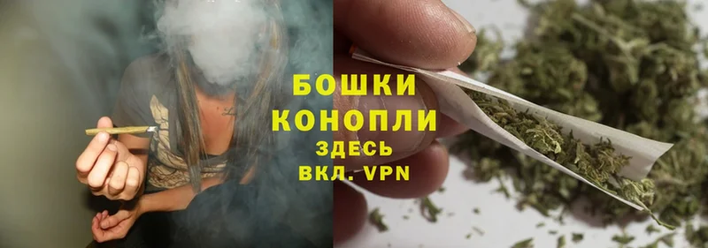 Шишки марихуана OG Kush  Новая Ладога 